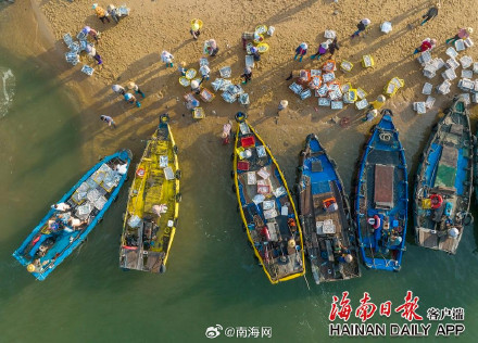 海南儋州海头镇开渔季，鱼满舱！