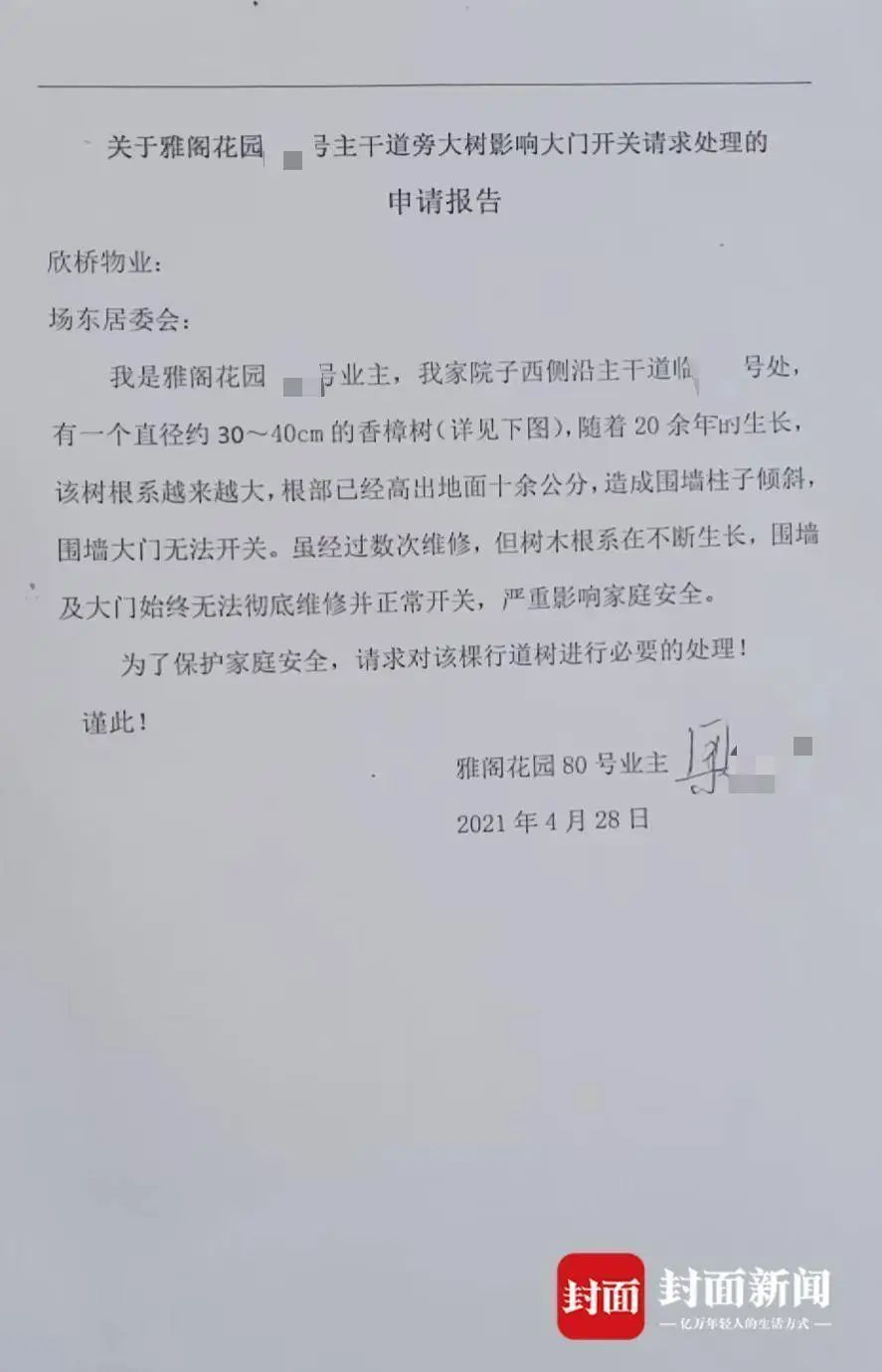 上海一业主砍伐院外树木被罚3万元，曾称香樟树影响生活已向多方反映