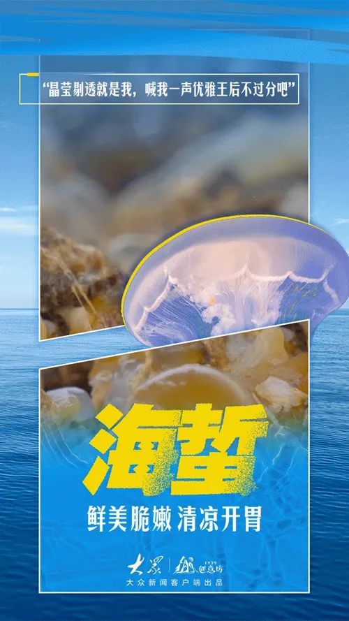 山东开海啦！梭子蟹、虾虎、海蛎子……准备开炫