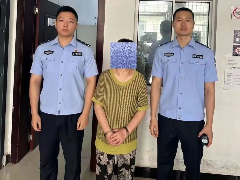 69岁老太被刑拘！犯案缘由太离谱