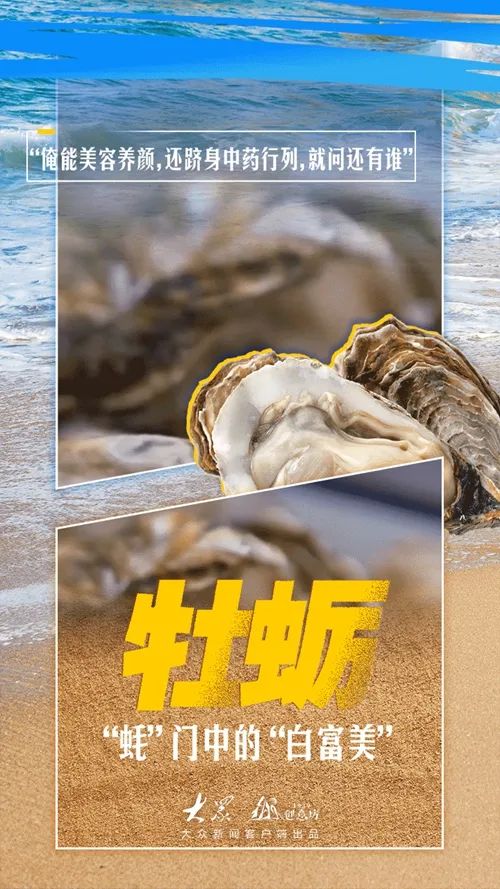 山东开海啦！梭子蟹、虾虎、海蛎子……准备开炫