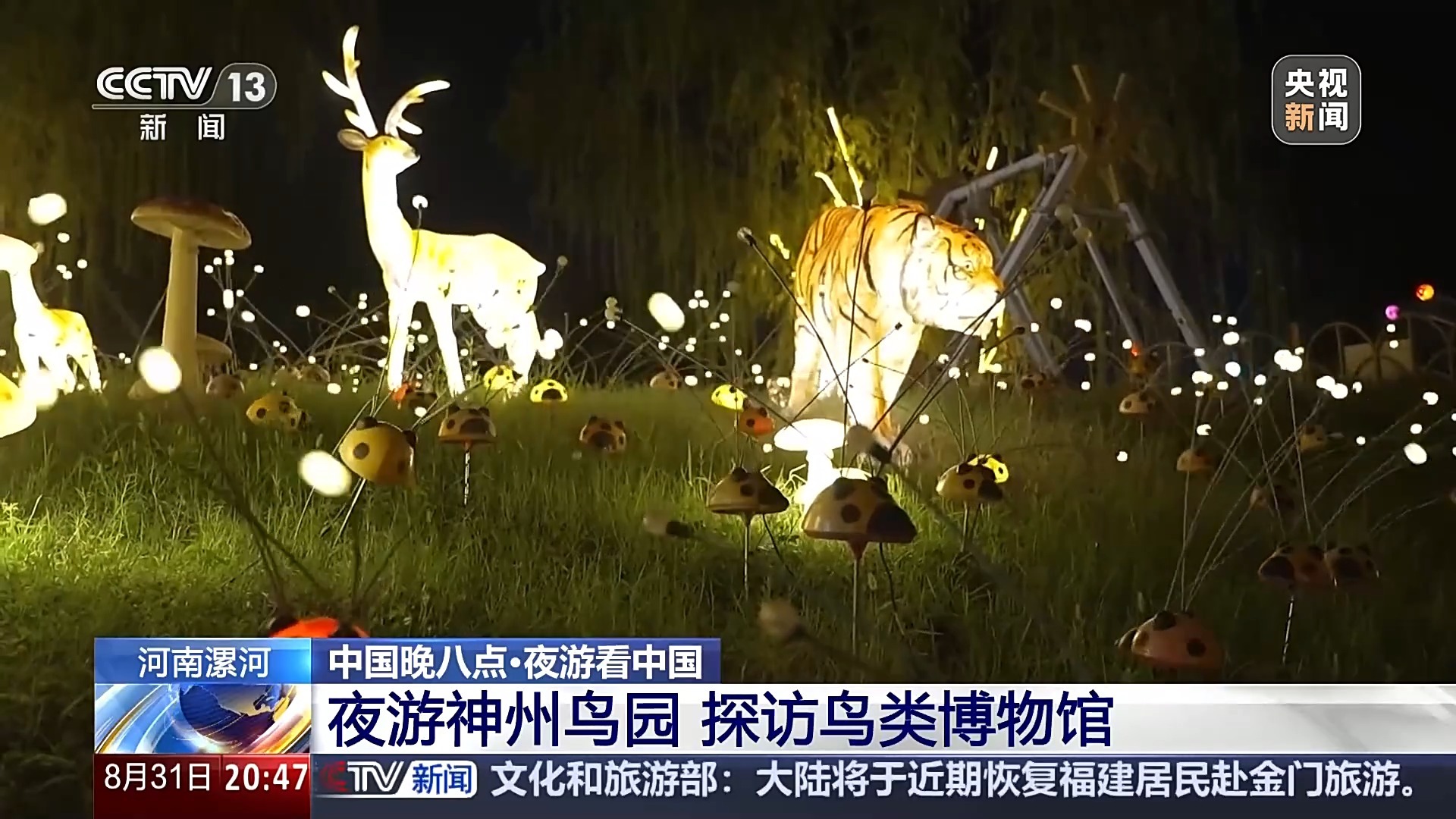 鸟园奇妙夜、灯光秀……解锁夜游新玩法，超City的！