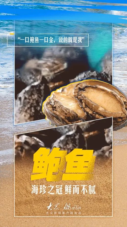 山东开海啦！梭子蟹、虾虎、海蛎子……准备开炫