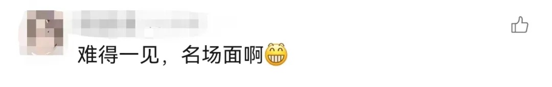 全红婵、陈艺文“炸鱼”？网友：难得一见