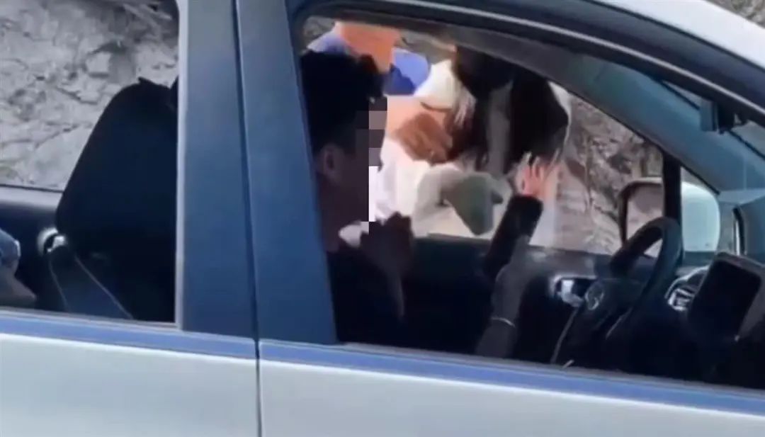 逆行打人路虎女司机身份曝光！官方发声