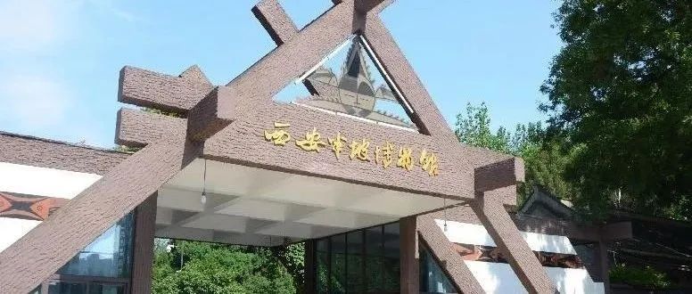 恢复正常开放！多家博物馆发布公告