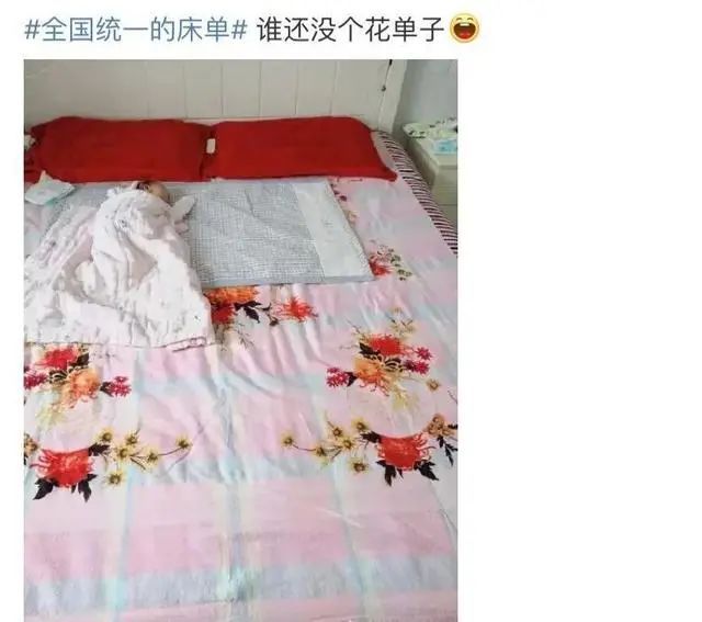 突然火了!每个重庆人家里都有一条…… 突然火了!每个重庆人家里都有一条……