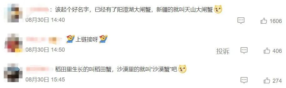 起猛了！新疆一大批“沙漠螃蟹”上市