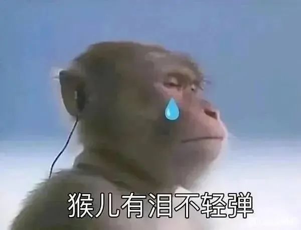 新台风或将生成！直接登陆浙江？