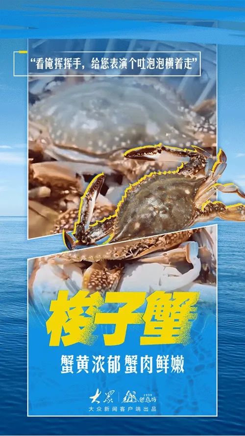 山东开海啦！梭子蟹、虾虎、海蛎子……准备开炫