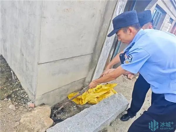 蛇蛇蛇……瞬间麻了！还好来了“捕蛇达人”