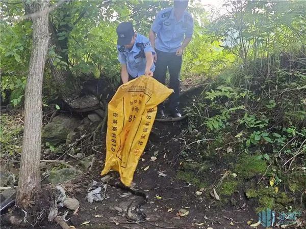蛇蛇蛇……瞬间麻了！还好来了“捕蛇达人”