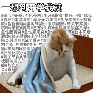 什么？就这么水灵灵地开学了？