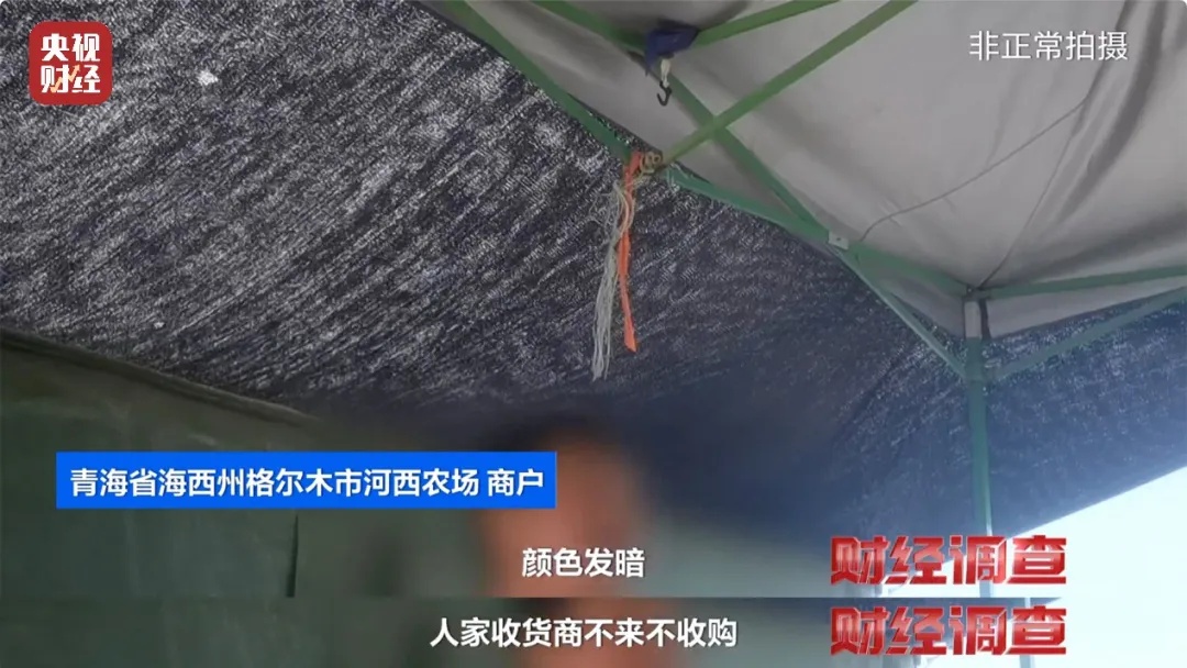 黑幕曝光！官方通报：成立联合调查组