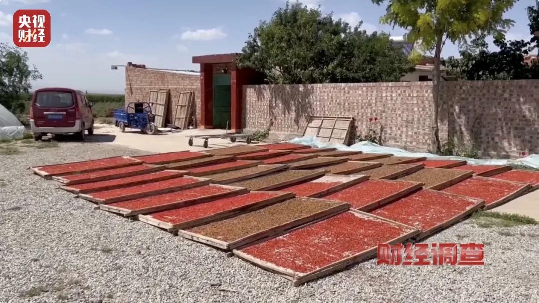 速自查!你杯里泡的是…央视曝光! 速自查!你杯里泡的是…央视曝光!