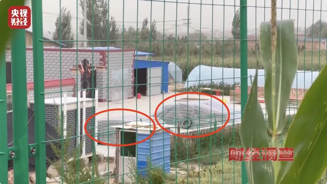 黑幕曝光！官方通报：成立联合调查组