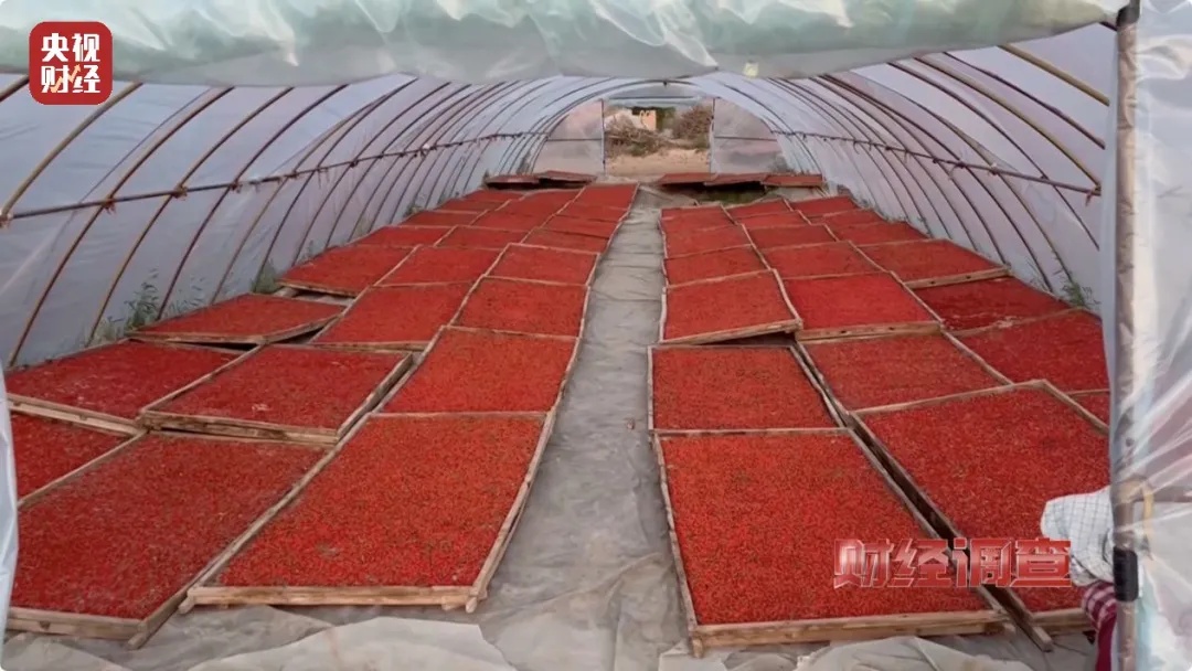 速自查!你杯里泡的是…央视曝光! 速自查!你杯里泡的是…央视曝光!