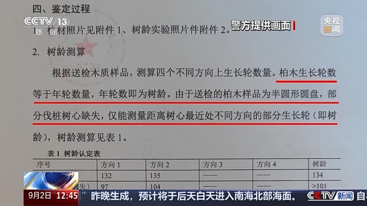 惨遭盗割！古树名木竟成不法分子的“摇钱树”