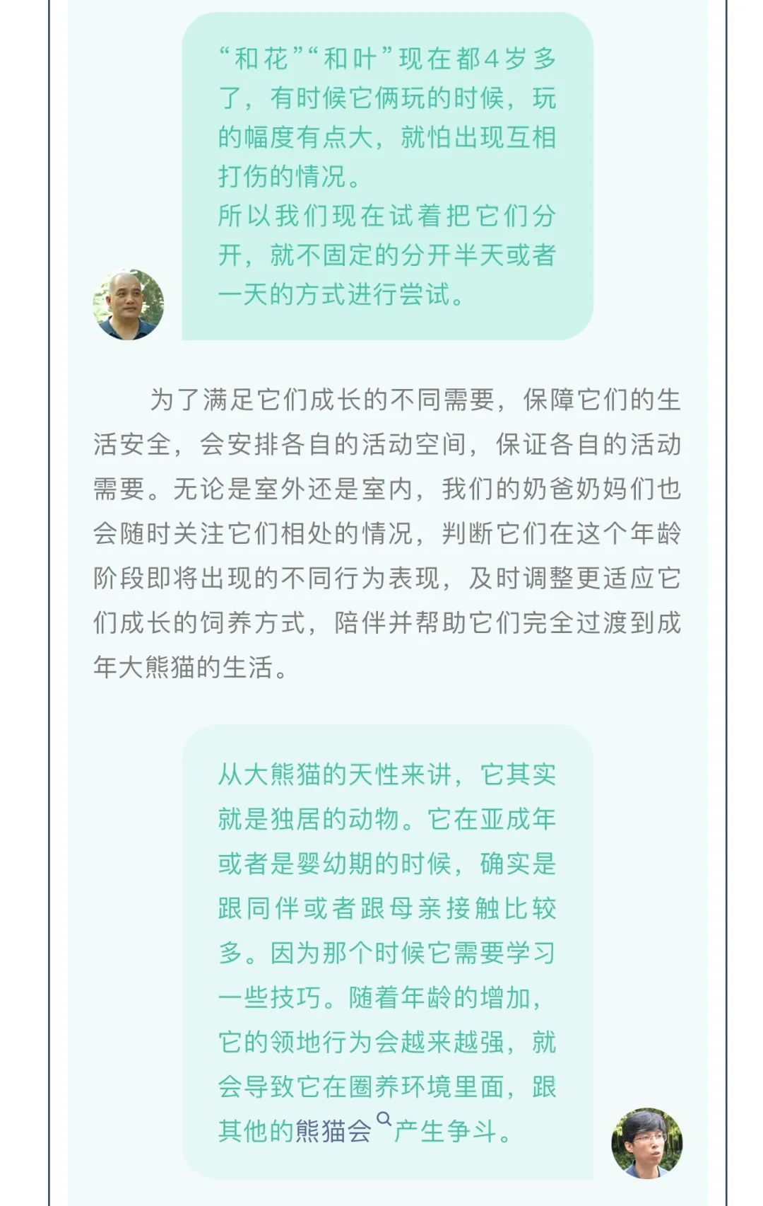 单飞不解散！大熊猫“和花”“和叶”要分开了