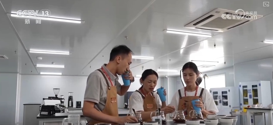 非洲生豆与中国技术“牵手” 混搭让咖啡豆“香飘万家” 非洲生豆与中国技术“牵手” 混搭让咖啡豆“香飘万家”