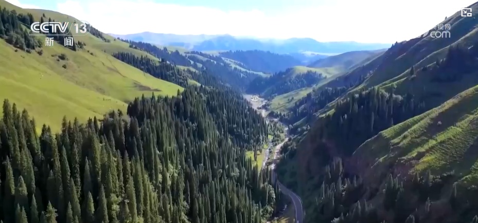 小城过暑假：“支支串飞”打造小城出游“新模式”