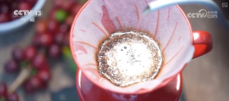 非洲生豆与中国技术“牵手” 混搭让咖啡豆“香飘万家” 非洲生豆与中国技术“牵手” 混搭让咖啡豆“香飘万家”