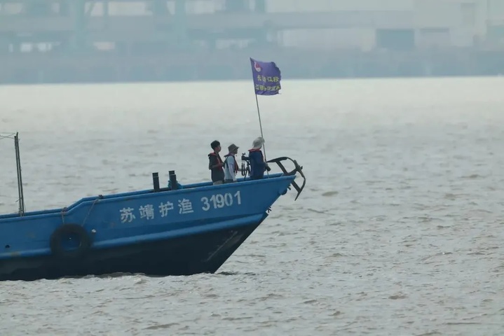 16头江豚同时现身，打破纪录！