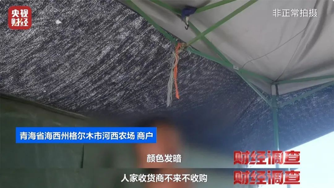 央视曝光“硫磺枸杞”！官方通报：成立调查组，彻查！