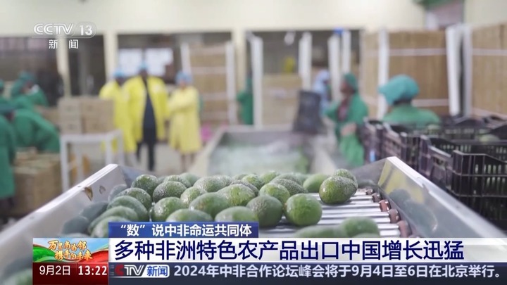 鲜花、咖啡、光伏水泵 一组数据看“小而美”的中非农业合作 鲜花、咖啡、光伏水泵 一组数据看“小而美”的中非农业合作