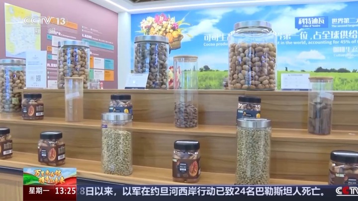 鲜花、咖啡、光伏水泵 一组数据看“小而美”的中非农业合作 鲜花、咖啡、光伏水泵 一组数据看“小而美”的中非农业合作