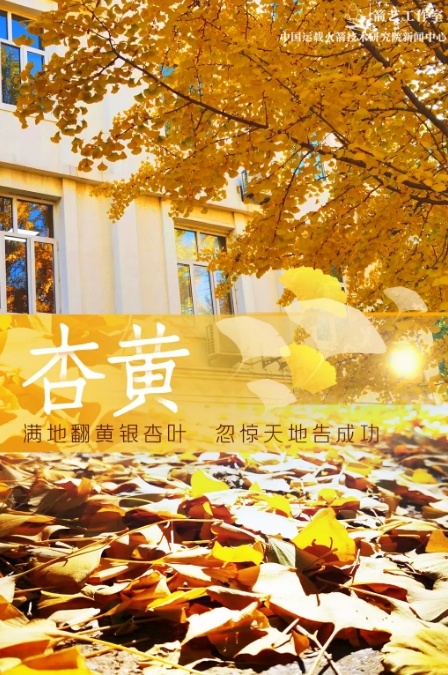 当传统色遇见中国航天，美不胜收！