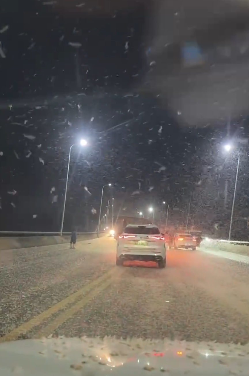 头皮发麻！湖南一大桥上飞虫密布像下雪，“至少10亿只”！