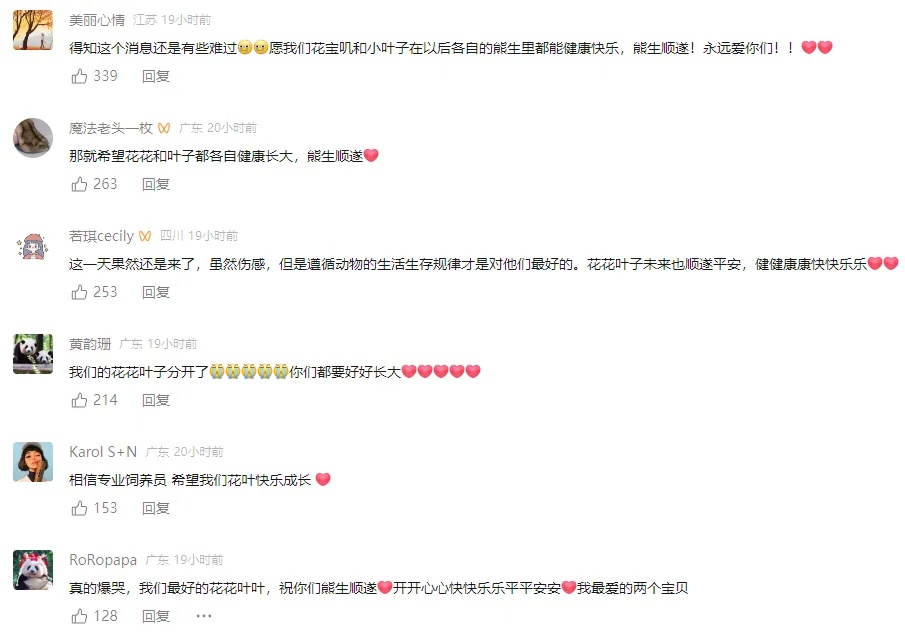 这对“顶流”，宣布单飞！