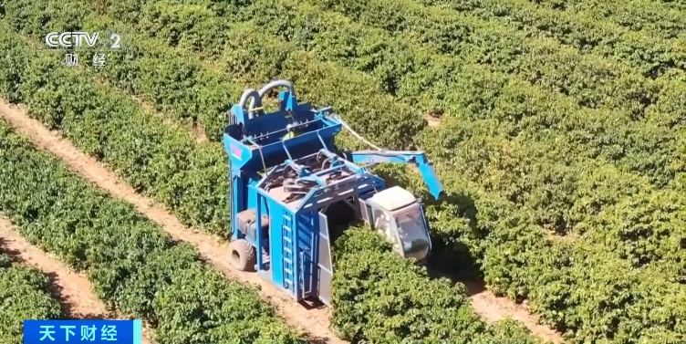 火热！近3000亿元的大市场，“啡”比寻常