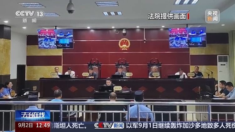 惨遭盗割！古树名木竟成不法分子的“摇钱树”