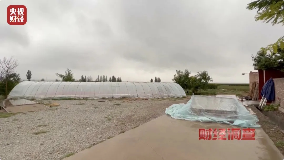 黑幕曝光！官方通报：成立联合调查组