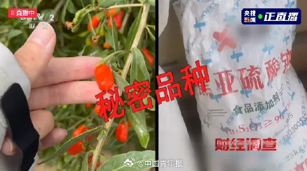 官方通报商户给枸杞熏工业硫磺：彻查！