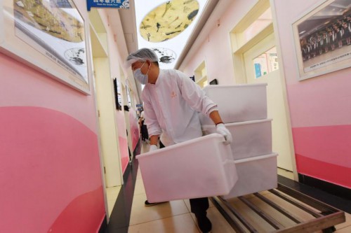 北京：校外供餐中小学校实现“桶餐到班”全覆盖