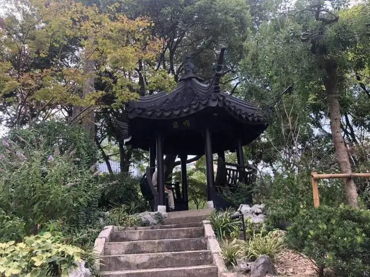 阔别1年,全上海古牡丹最多的公园焕新归来!正式开放时间已定→ 阔别1年,全上海古牡丹最多的公园焕新归来!正式开放时间已定→