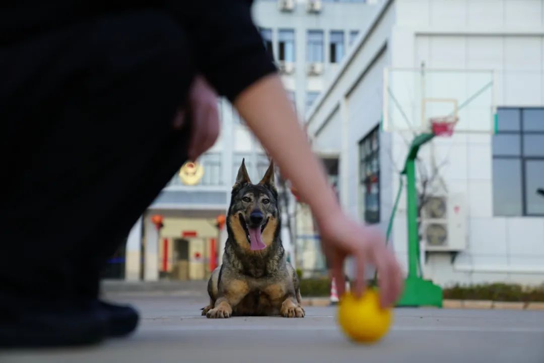 这批“新警”，浑身是毛……