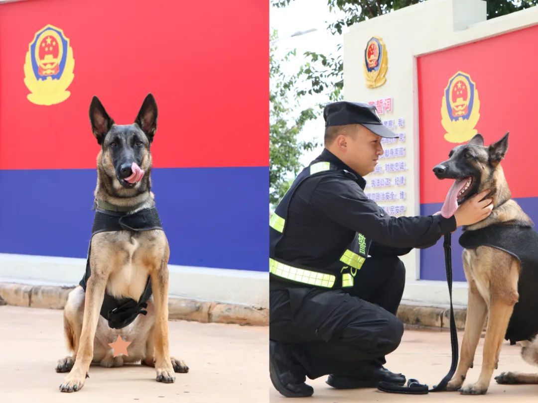 这批“新警”，浑身是毛……