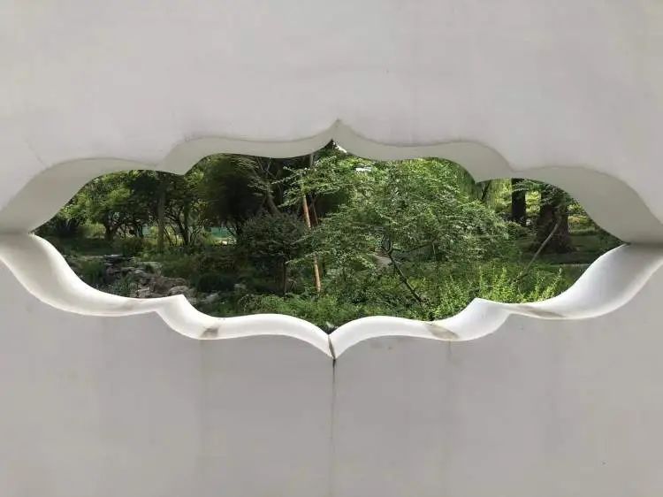 阔别1年,全上海古牡丹最多的公园焕新归来!正式开放时间已定→ 阔别1年,全上海古牡丹最多的公园焕新归来!正式开放时间已定→