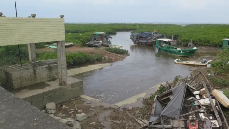 沾满泥浆、已被海水浸泡的走私香烟，卖给谁了？