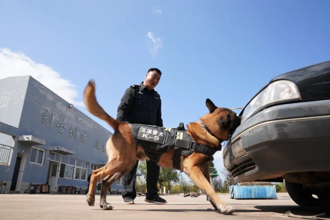 这批“新警”，浑身是毛……