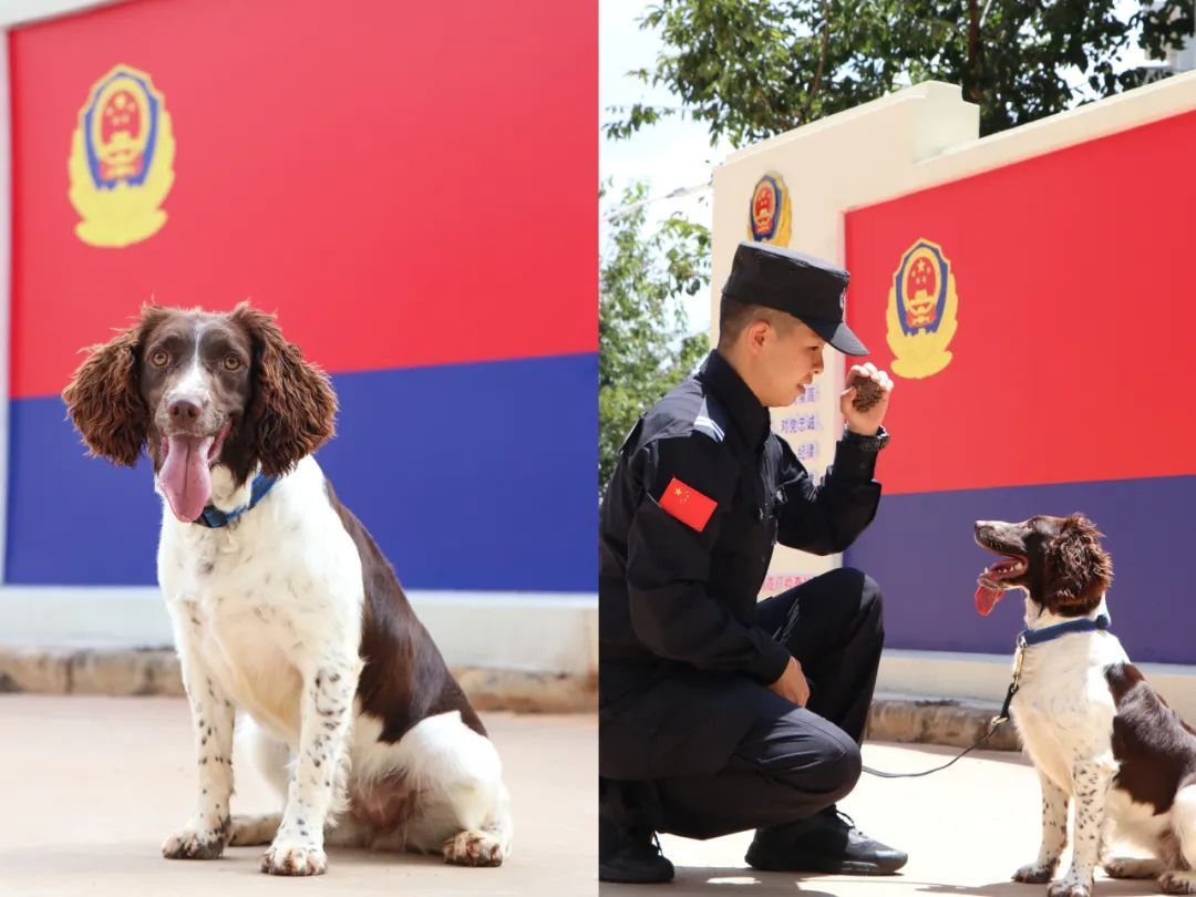 这批“新警”，浑身是毛……