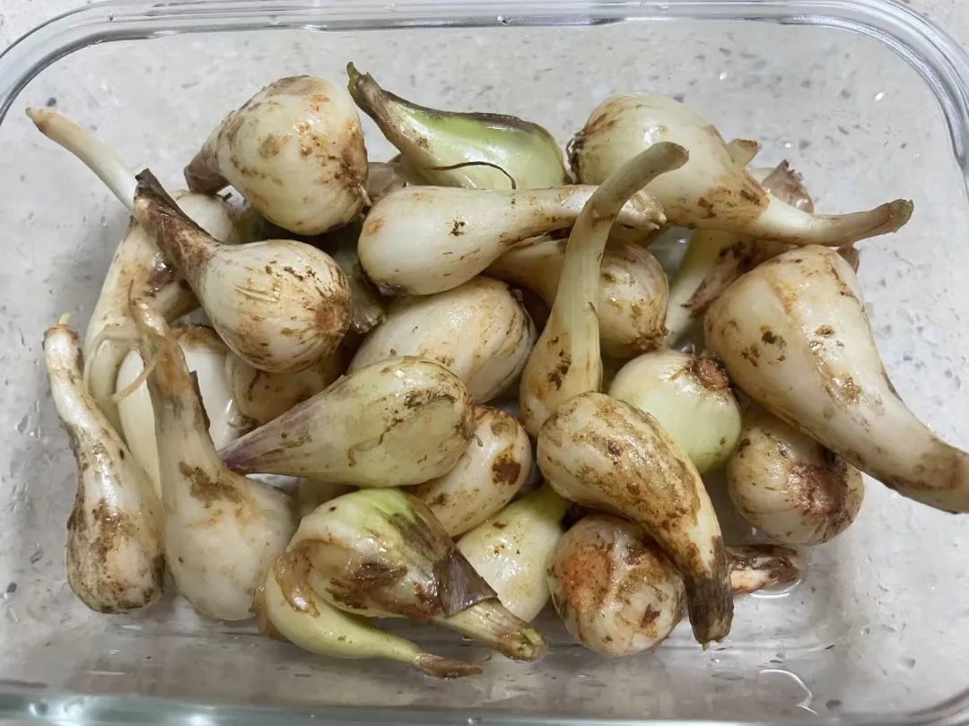 这种南方人超爱的“杀菌菜”,开胃又下饭,是心脑血管疾病的“良药” 这种南方人超爱的“杀菌菜”,开胃又下饭,是心脑血管疾病的“良药”