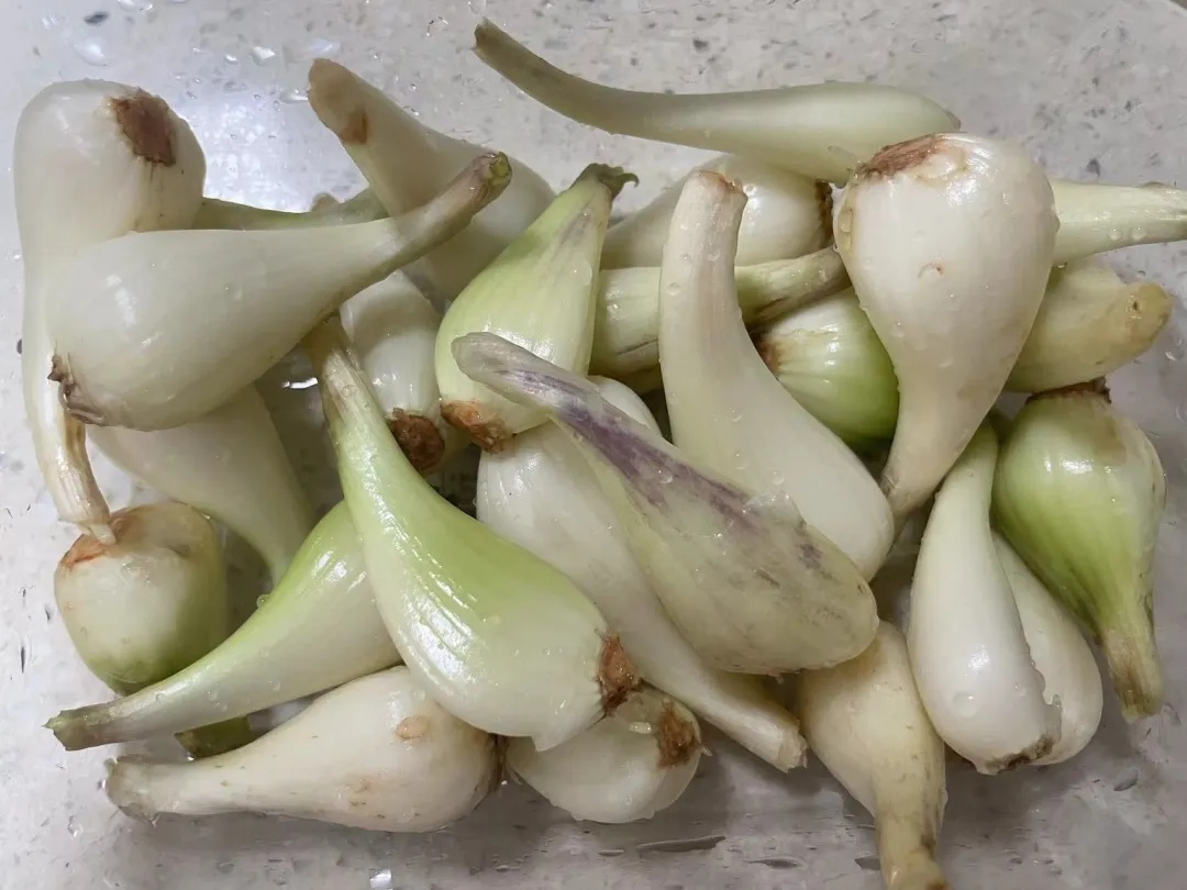 这种南方人超爱的“杀菌菜”,开胃又下饭,是心脑血管疾病的“良药” 这种南方人超爱的“杀菌菜”,开胃又下饭,是心脑血管疾病的“良药”