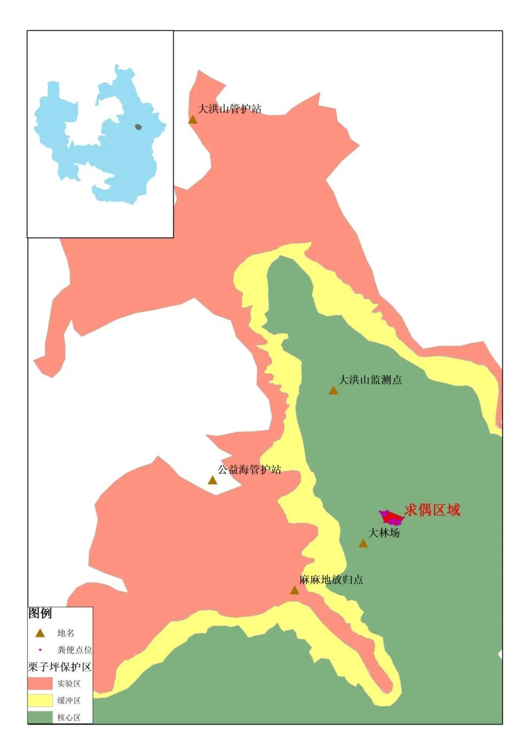 确认了！放归的它俩“恋情”藏不住了