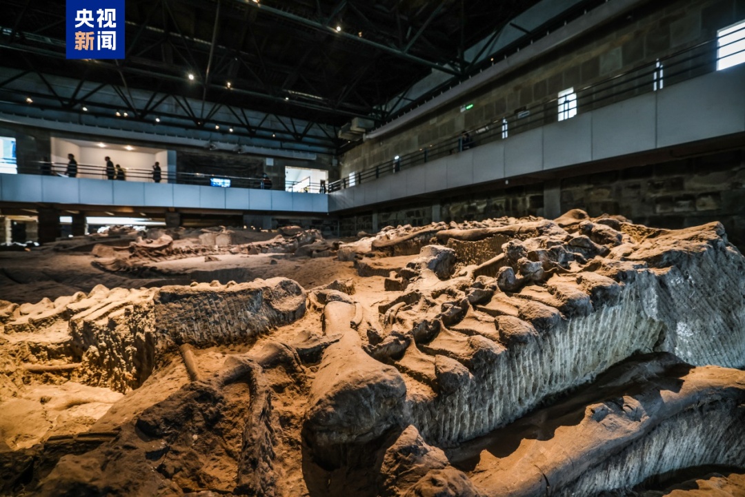 世界级名录,四川+1! 世界级名录,四川+1!