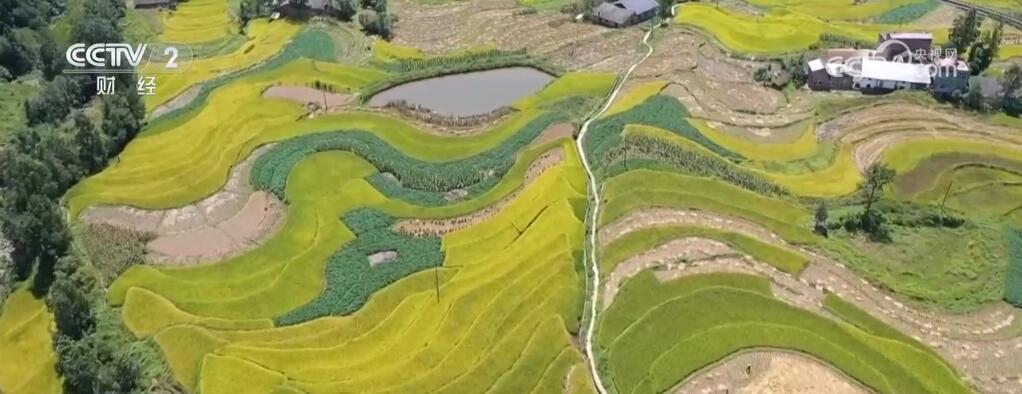 祝贺!2024年世界灌溉工程遗产名录公布 中国四个工程榜上有名 祝贺!2024年世界灌溉工程遗产名录公布 中国四个工程榜上有名